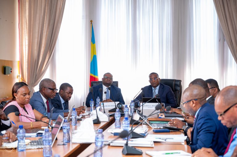 Guylain Nyembo et Doudou Fwamba harmonisent les prochaines étapes de mise en œuvre du programme